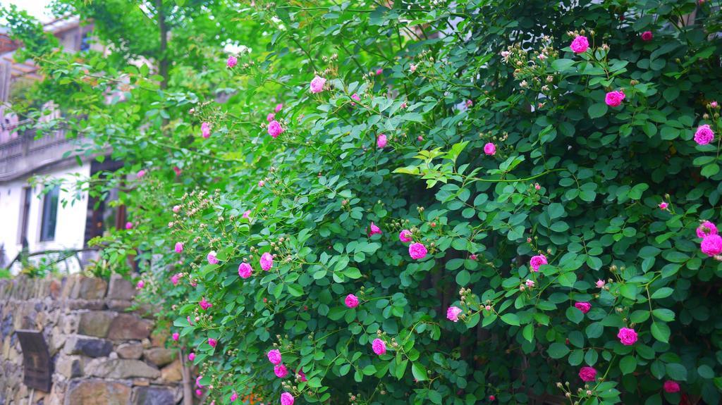 Moganshan Bamboo View Guesthouse Deqing Exterior foto